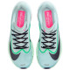 Nike Zoom Fly 6 W